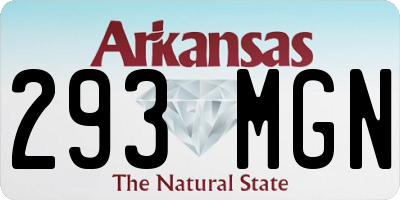 AR license plate 293MGN