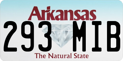 AR license plate 293MIB