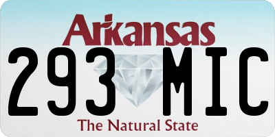 AR license plate 293MIC