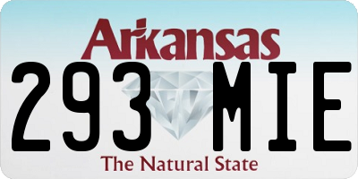 AR license plate 293MIE