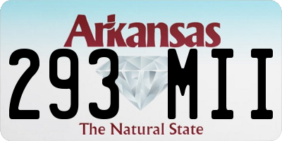 AR license plate 293MII