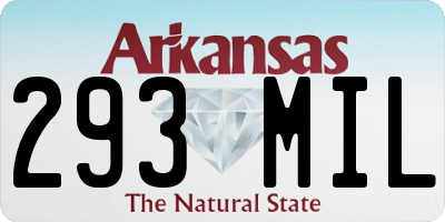 AR license plate 293MIL