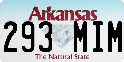 AR license plate 293MIM