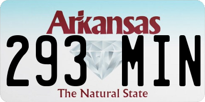 AR license plate 293MIN