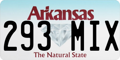 AR license plate 293MIX