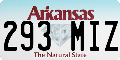 AR license plate 293MIZ
