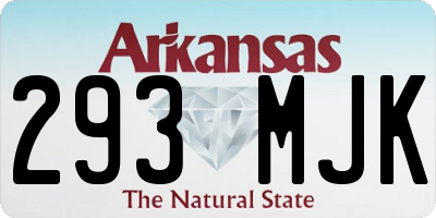 AR license plate 293MJK
