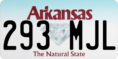 AR license plate 293MJL
