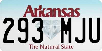 AR license plate 293MJU