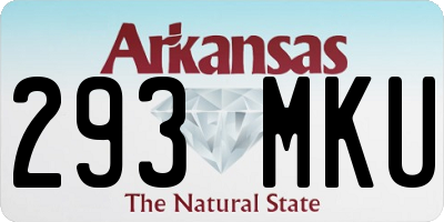 AR license plate 293MKU