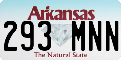 AR license plate 293MNN