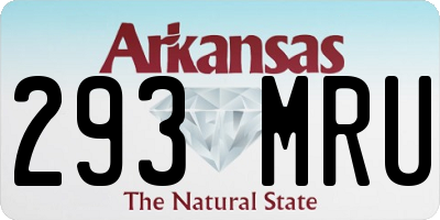 AR license plate 293MRU