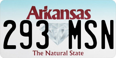 AR license plate 293MSN