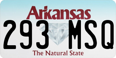 AR license plate 293MSQ