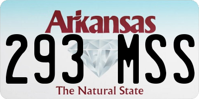AR license plate 293MSS