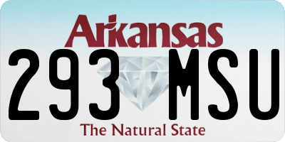 AR license plate 293MSU