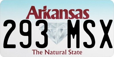 AR license plate 293MSX