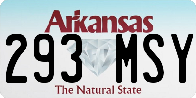 AR license plate 293MSY