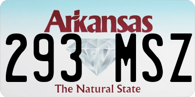 AR license plate 293MSZ