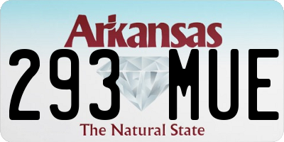 AR license plate 293MUE