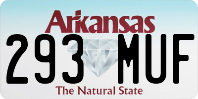 AR license plate 293MUF