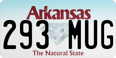 AR license plate 293MUG