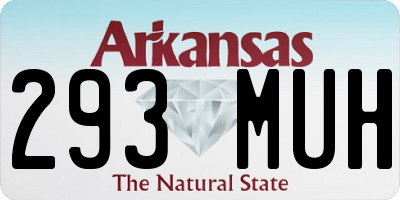 AR license plate 293MUH