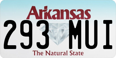 AR license plate 293MUI