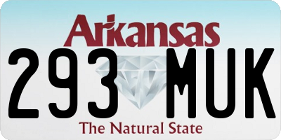 AR license plate 293MUK