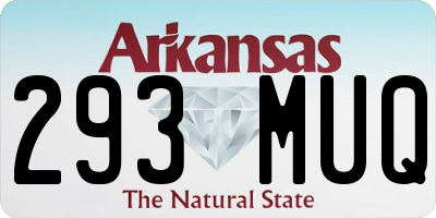 AR license plate 293MUQ