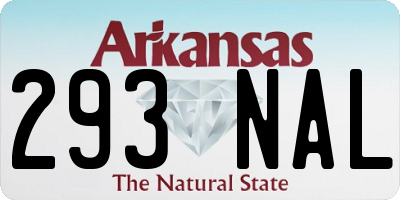 AR license plate 293NAL