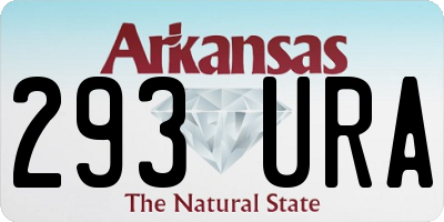 AR license plate 293URA