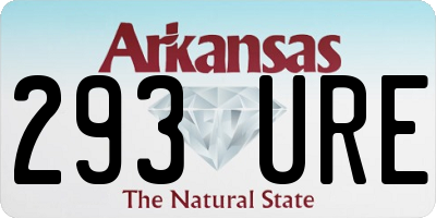 AR license plate 293URE