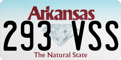 AR license plate 293VSS