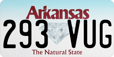 AR license plate 293VUG