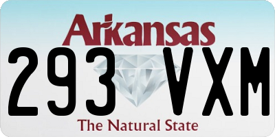 AR license plate 293VXM