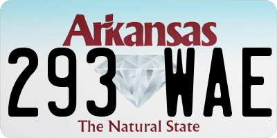 AR license plate 293WAE