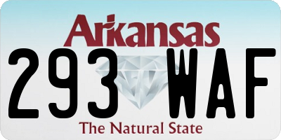 AR license plate 293WAF