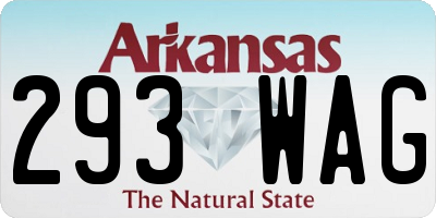 AR license plate 293WAG
