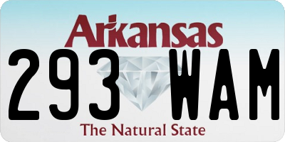 AR license plate 293WAM