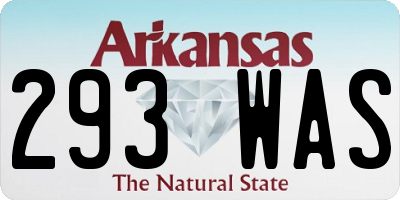 AR license plate 293WAS
