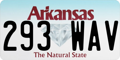 AR license plate 293WAV