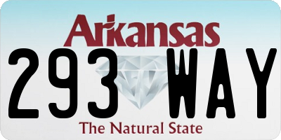AR license plate 293WAY