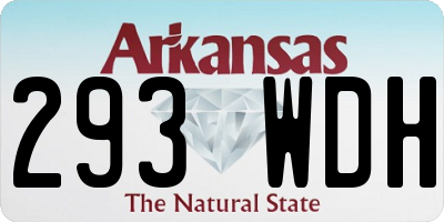 AR license plate 293WDH