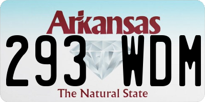 AR license plate 293WDM