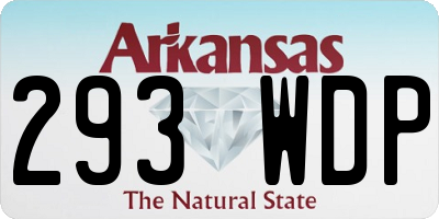 AR license plate 293WDP