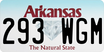 AR license plate 293WGM