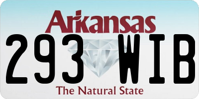 AR license plate 293WIB