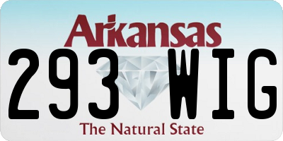 AR license plate 293WIG