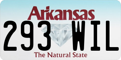 AR license plate 293WIL